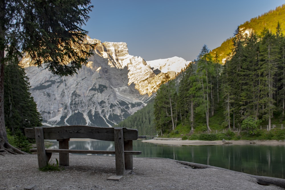 bench beside body of water