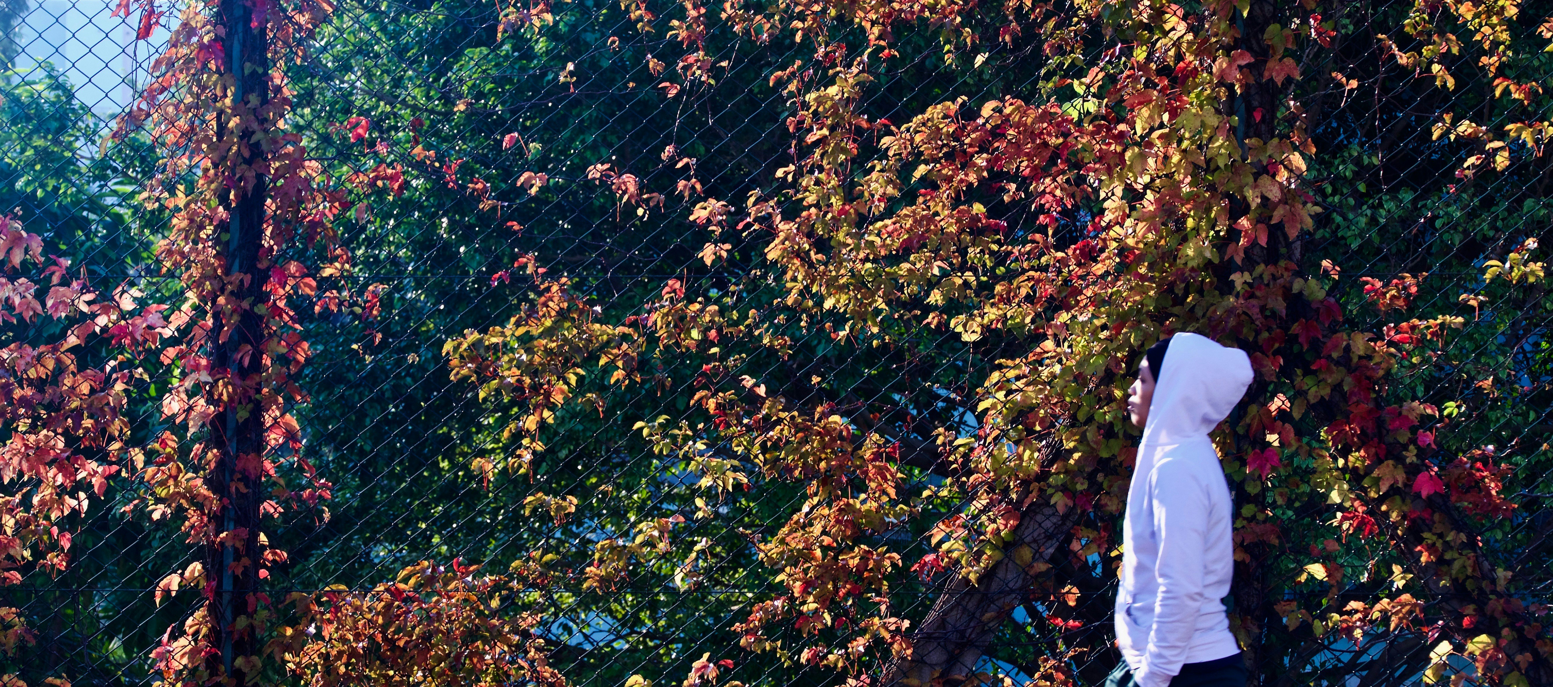 Image by tam wai via Unsplash