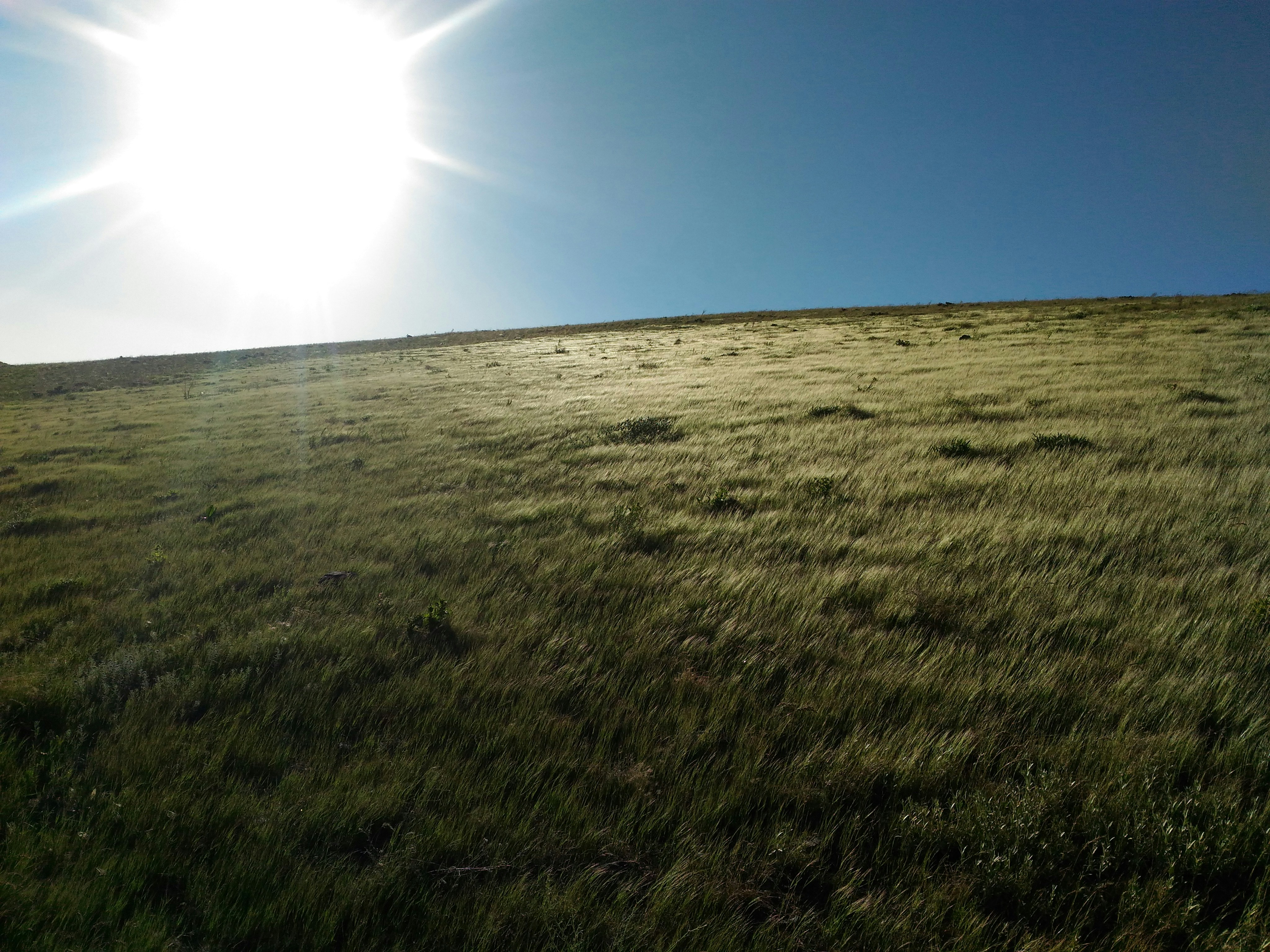 Photo by mohammadkazemi96