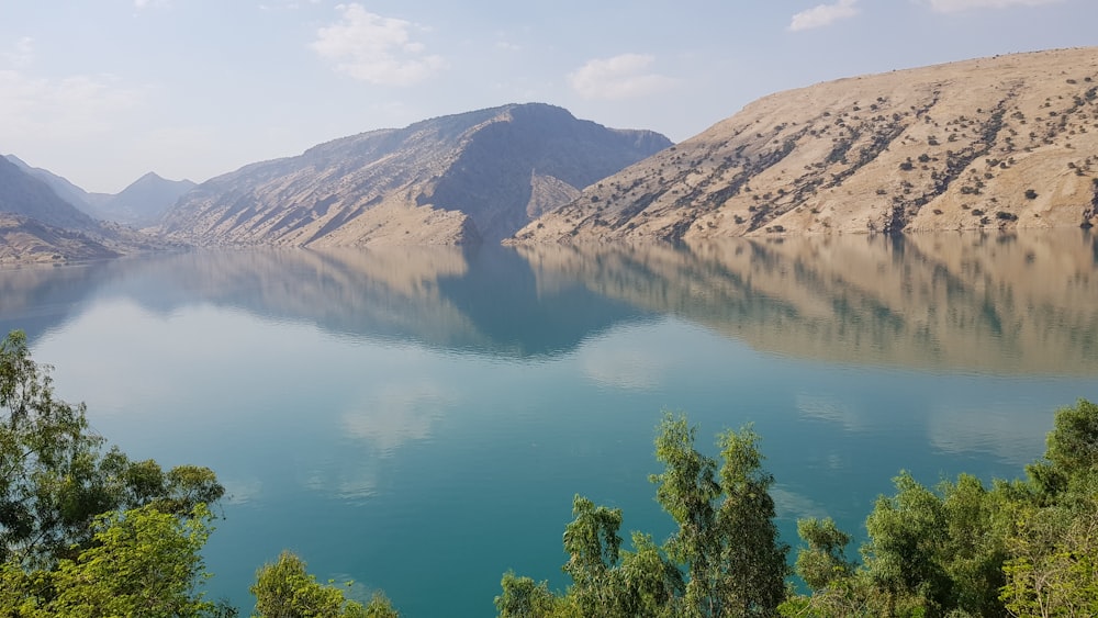 trees and mountains facing body of water