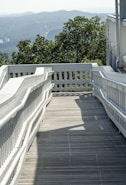 architectural photography of brown and white stair