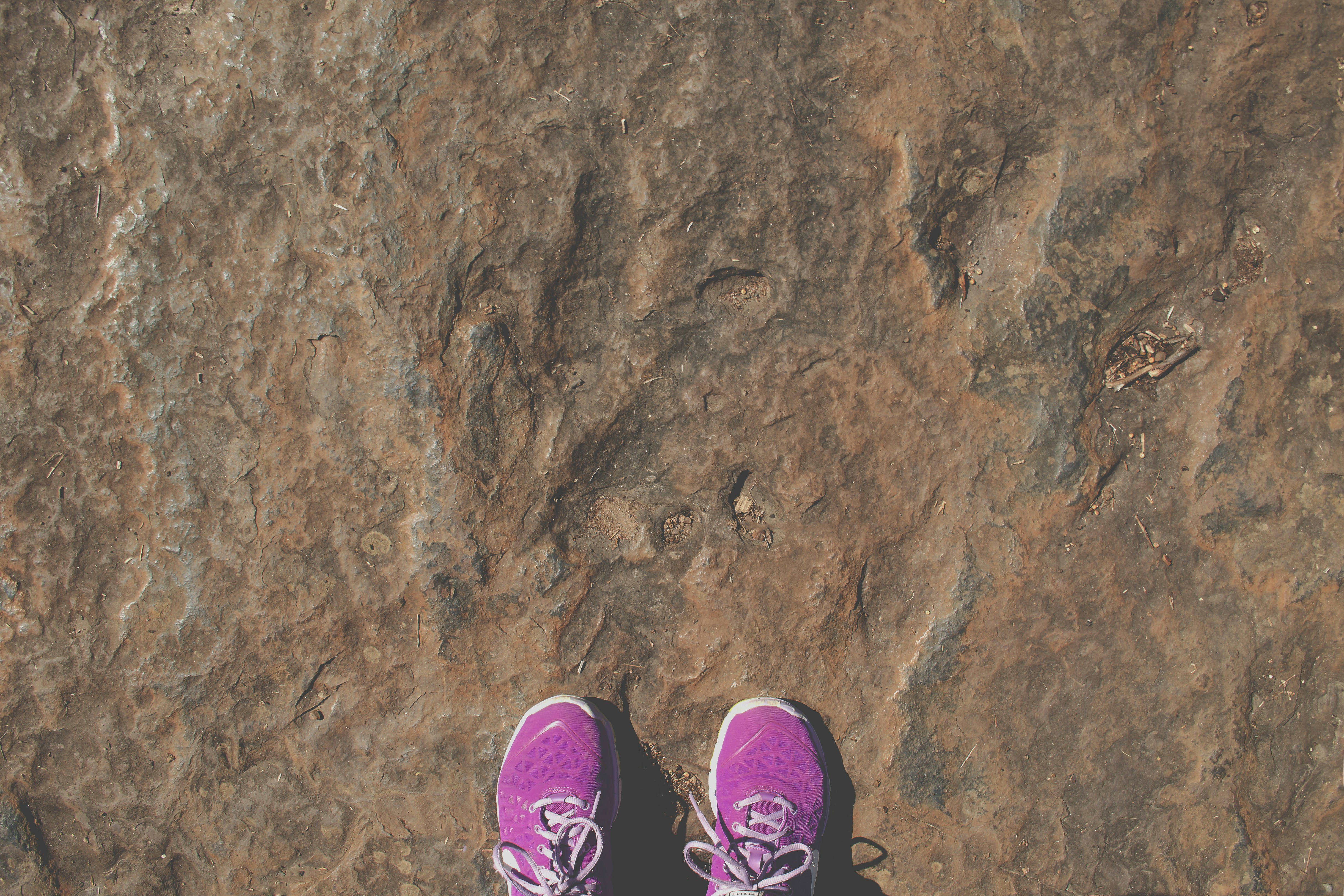 Par de zapatillas de running rosas