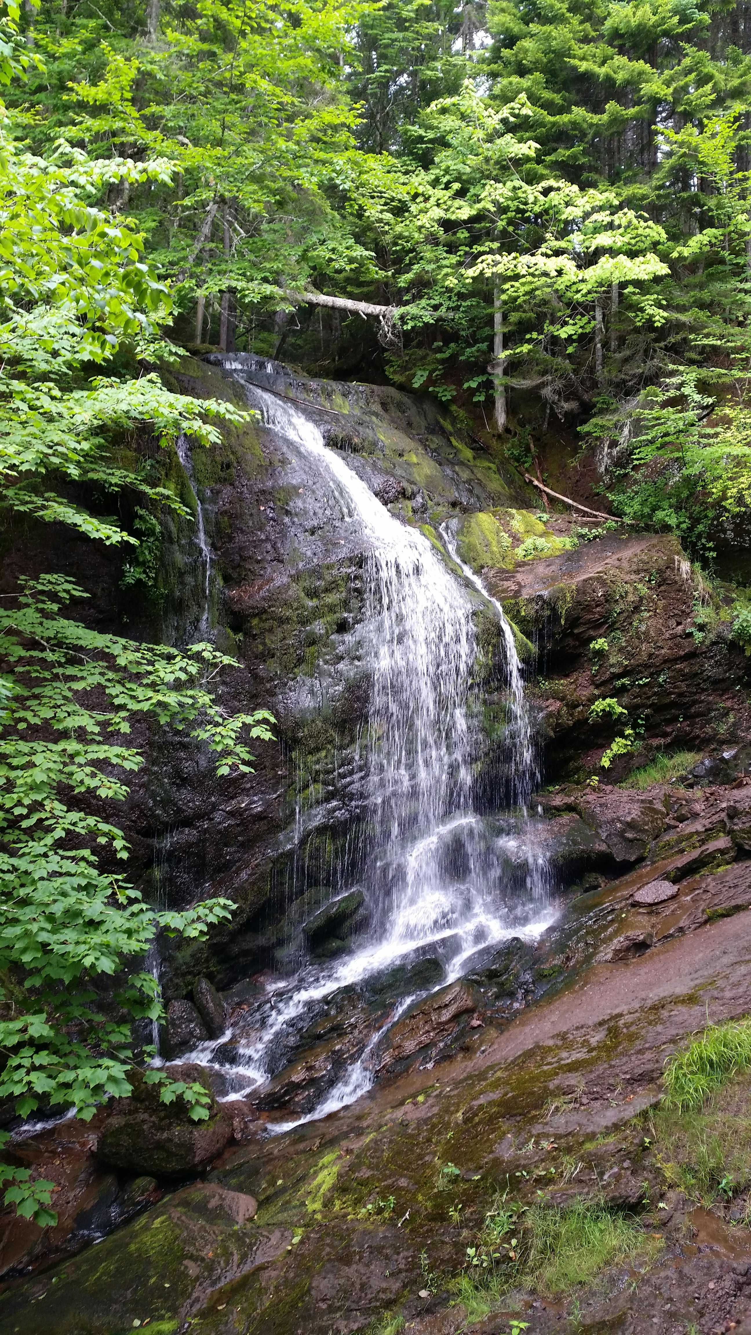 Photo by edcrockerphotos