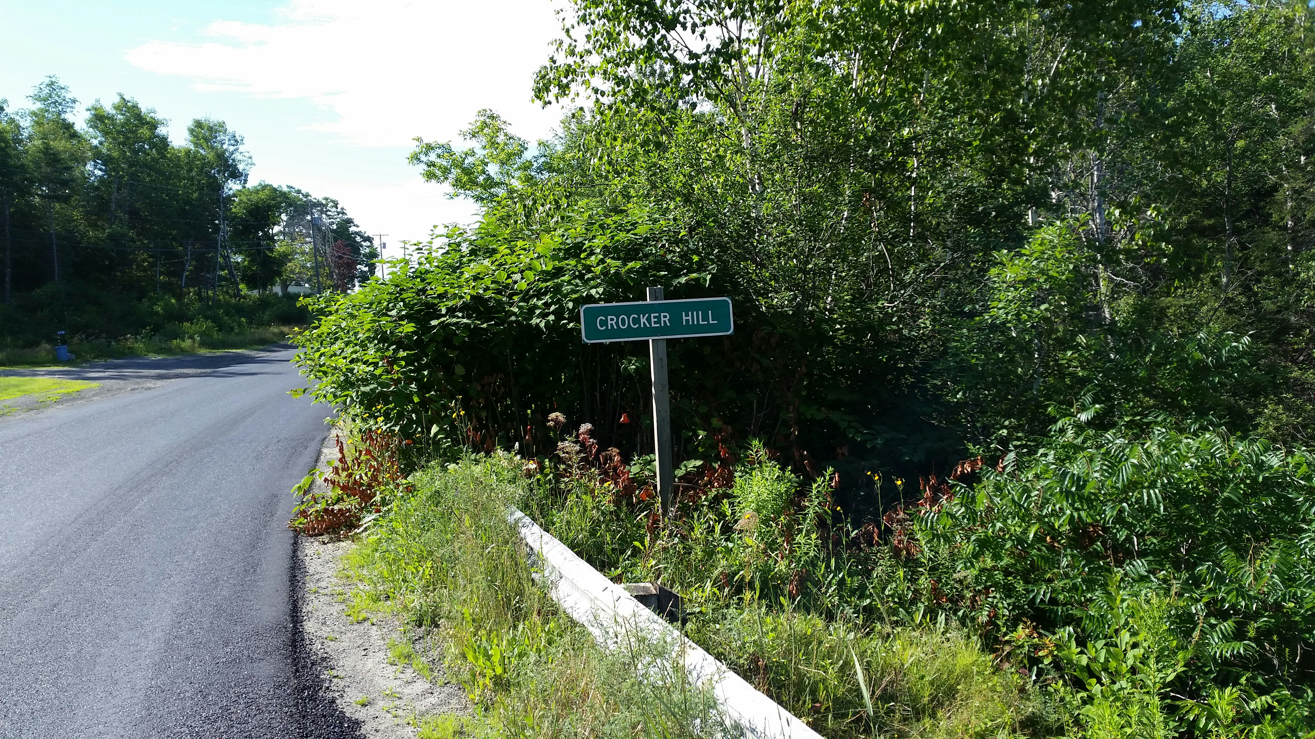 empty road during daytime