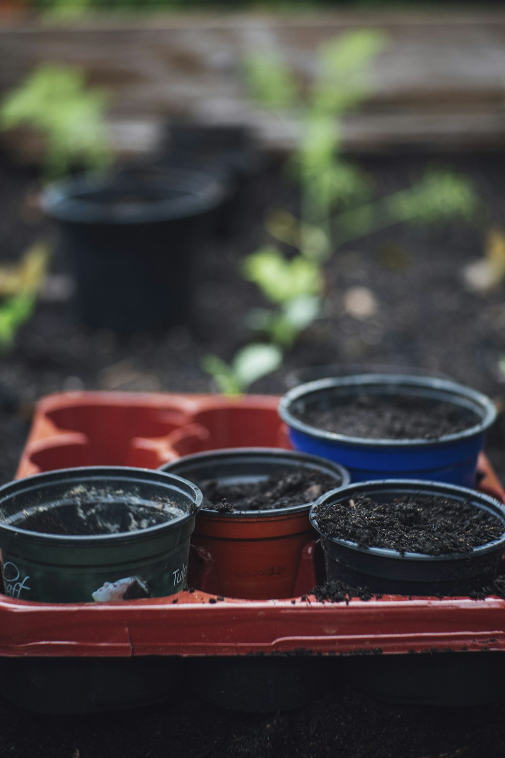 four plant pots
