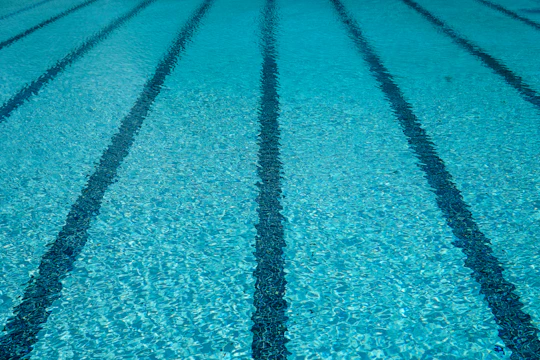 A professional cleaning a sparkling blue swimming pool on a sunny day.