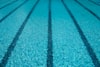 Salina Aquatics Club (SAC) to Host Ice Melt 2024