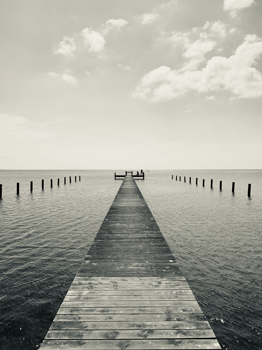 greyscale photography of dock
