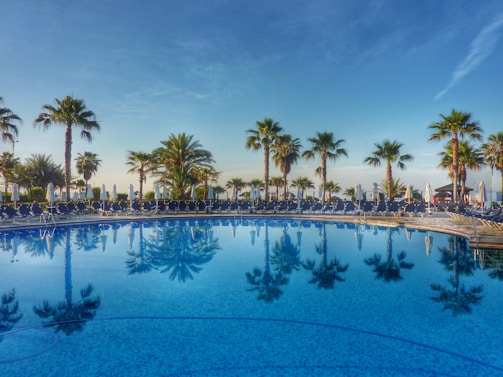 A refreshing outdoor swimming pool surrounded by palm trees at a beachfront hotel.