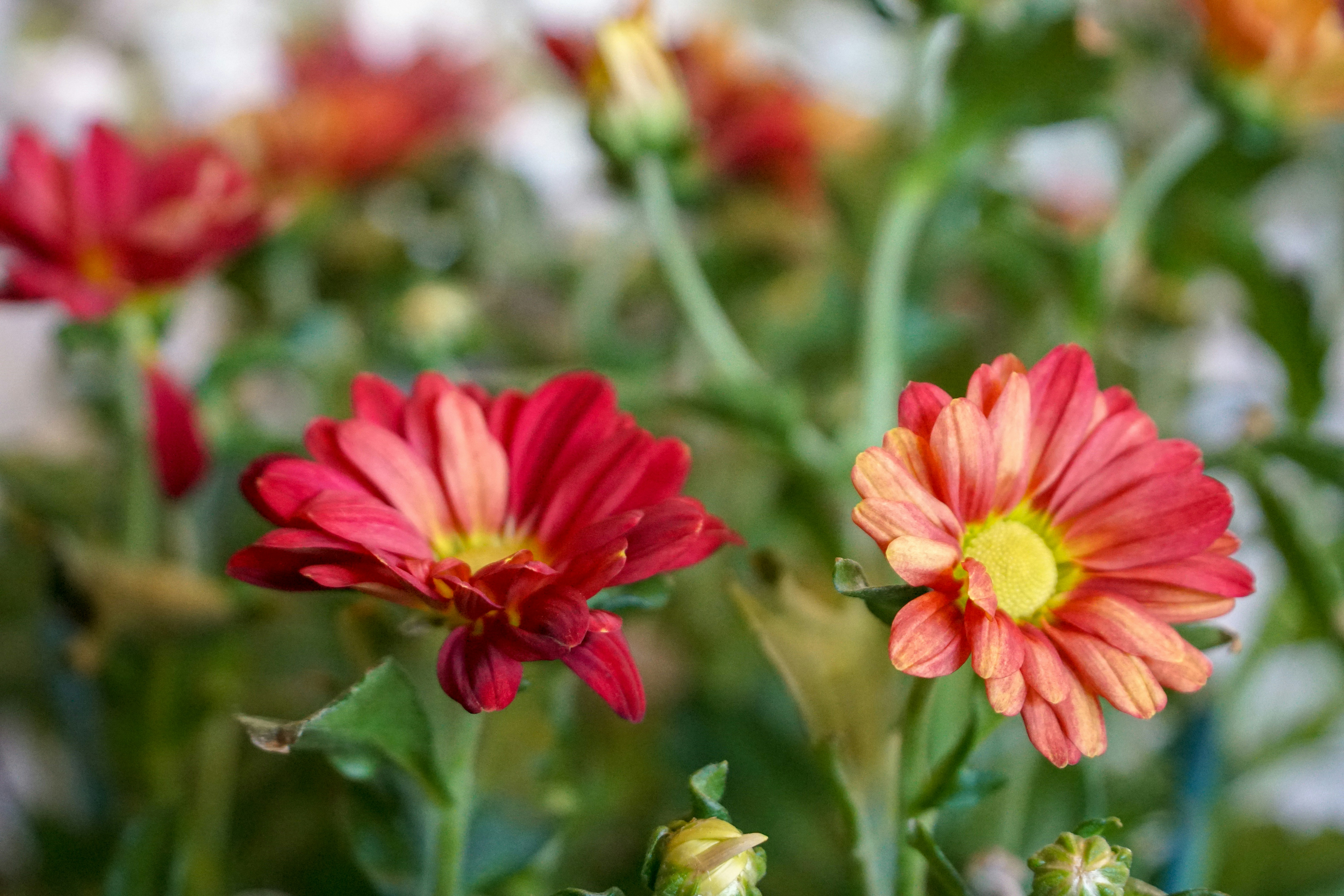 Photo by thomascpark