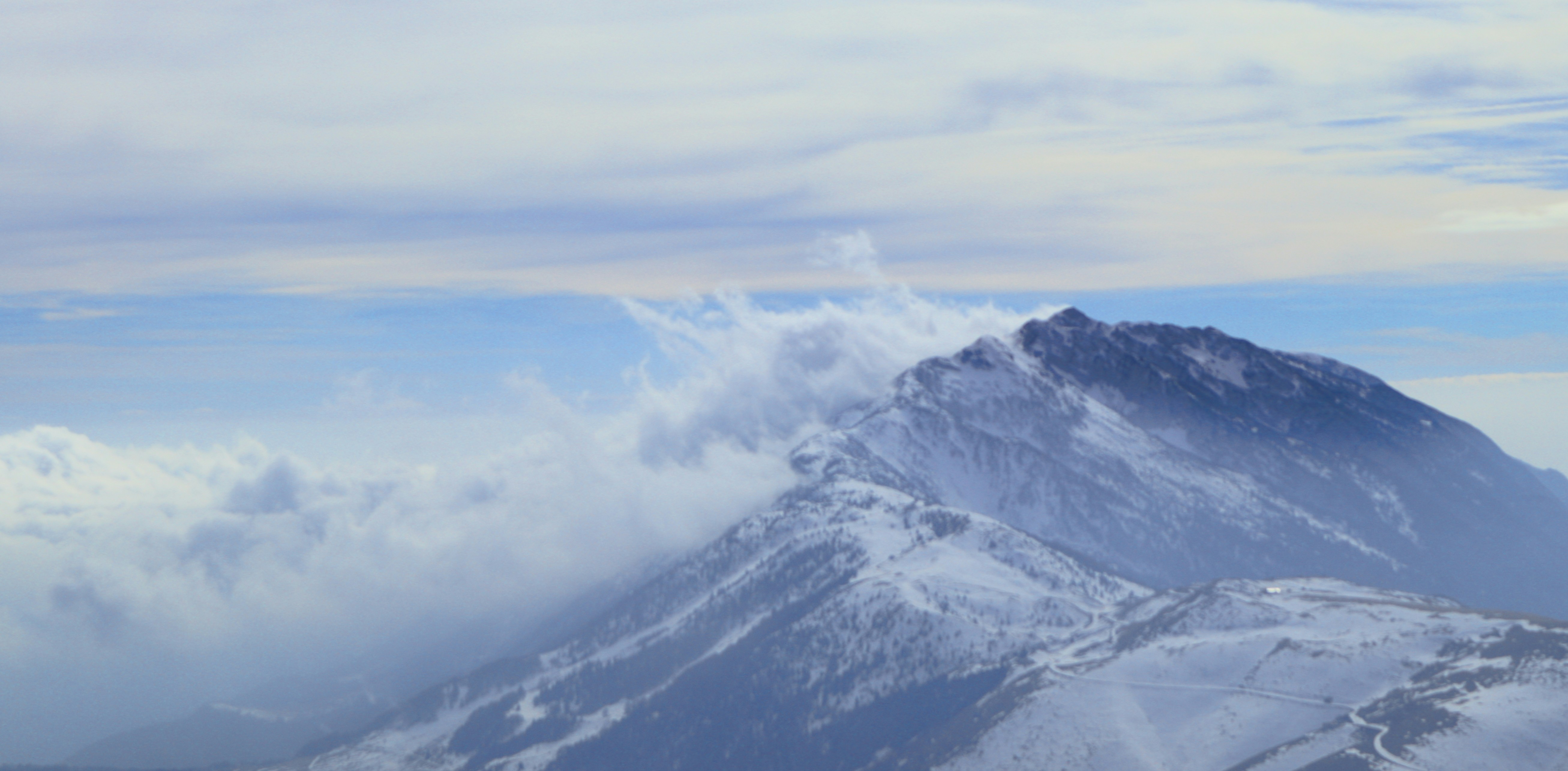 Photo by lucamariani