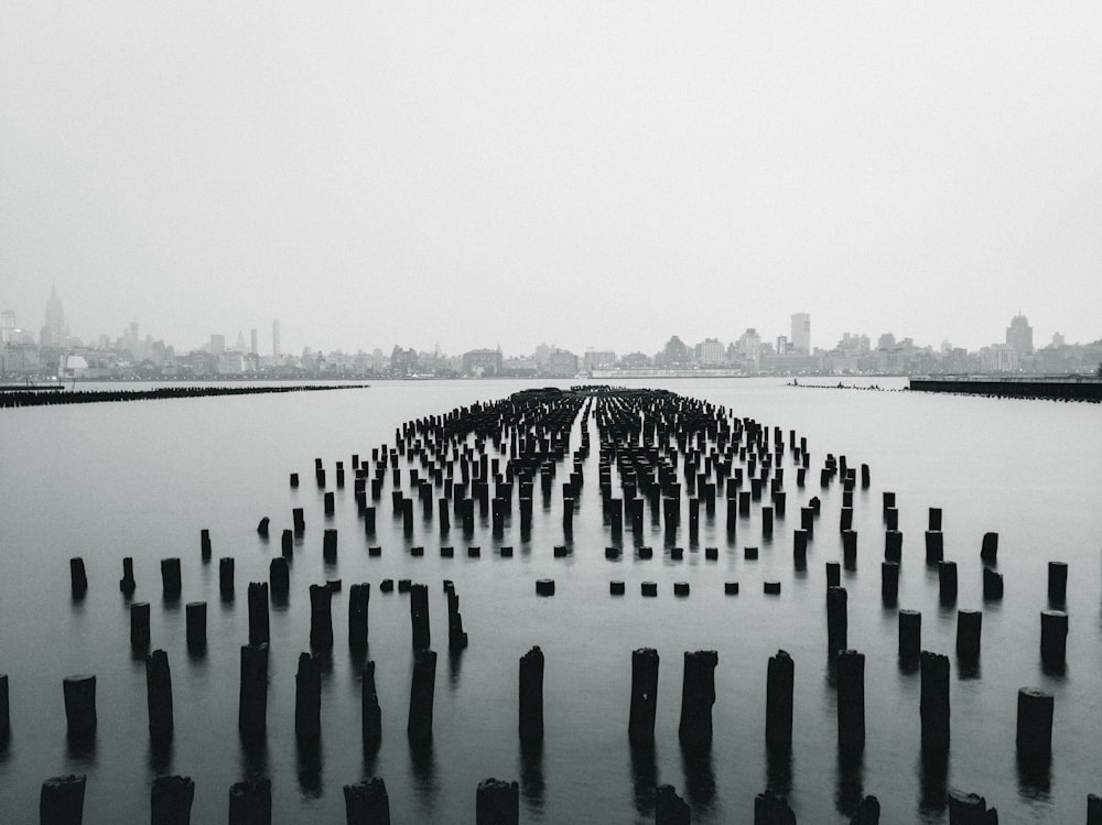 black log in body of water