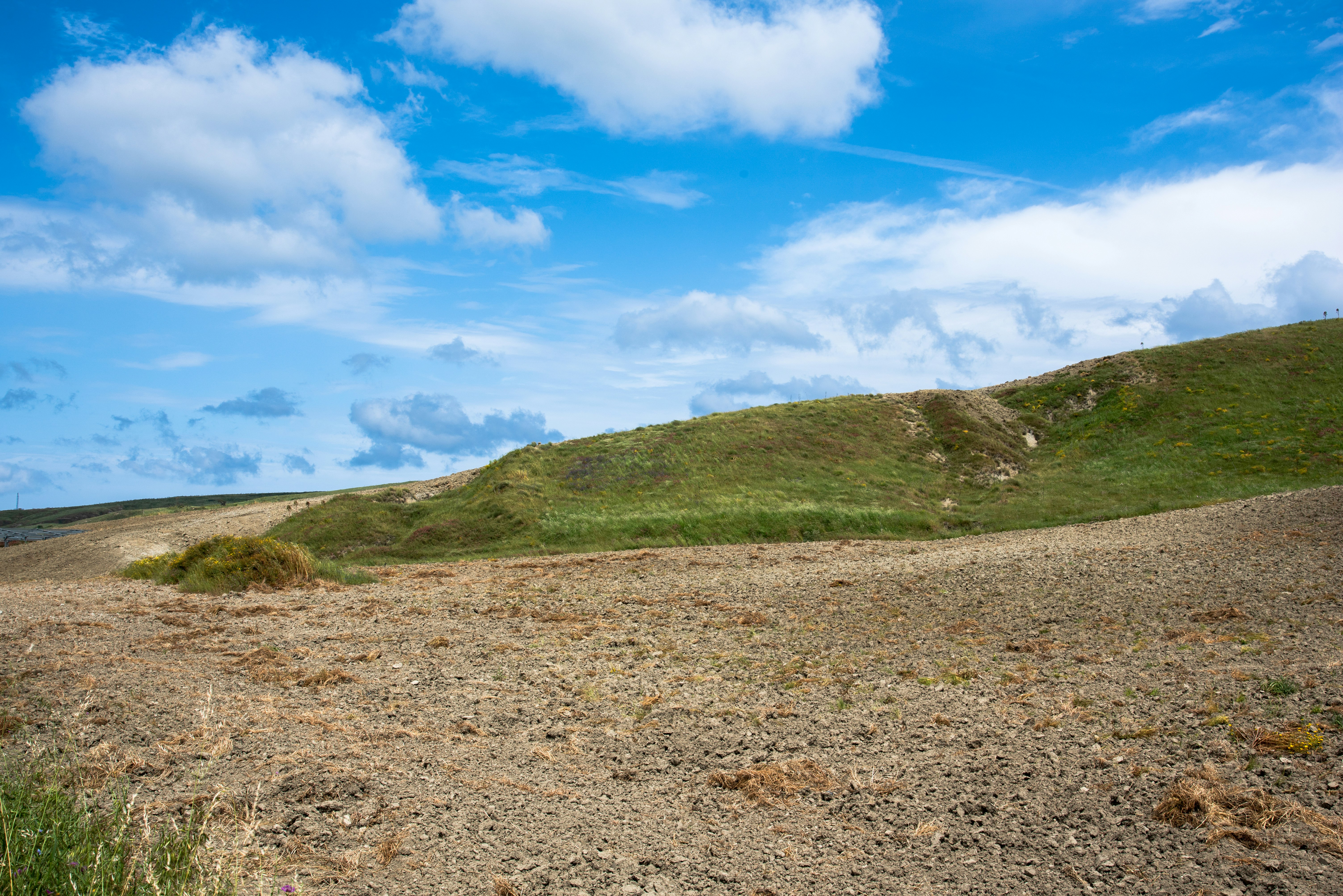 Photo by serenarepice