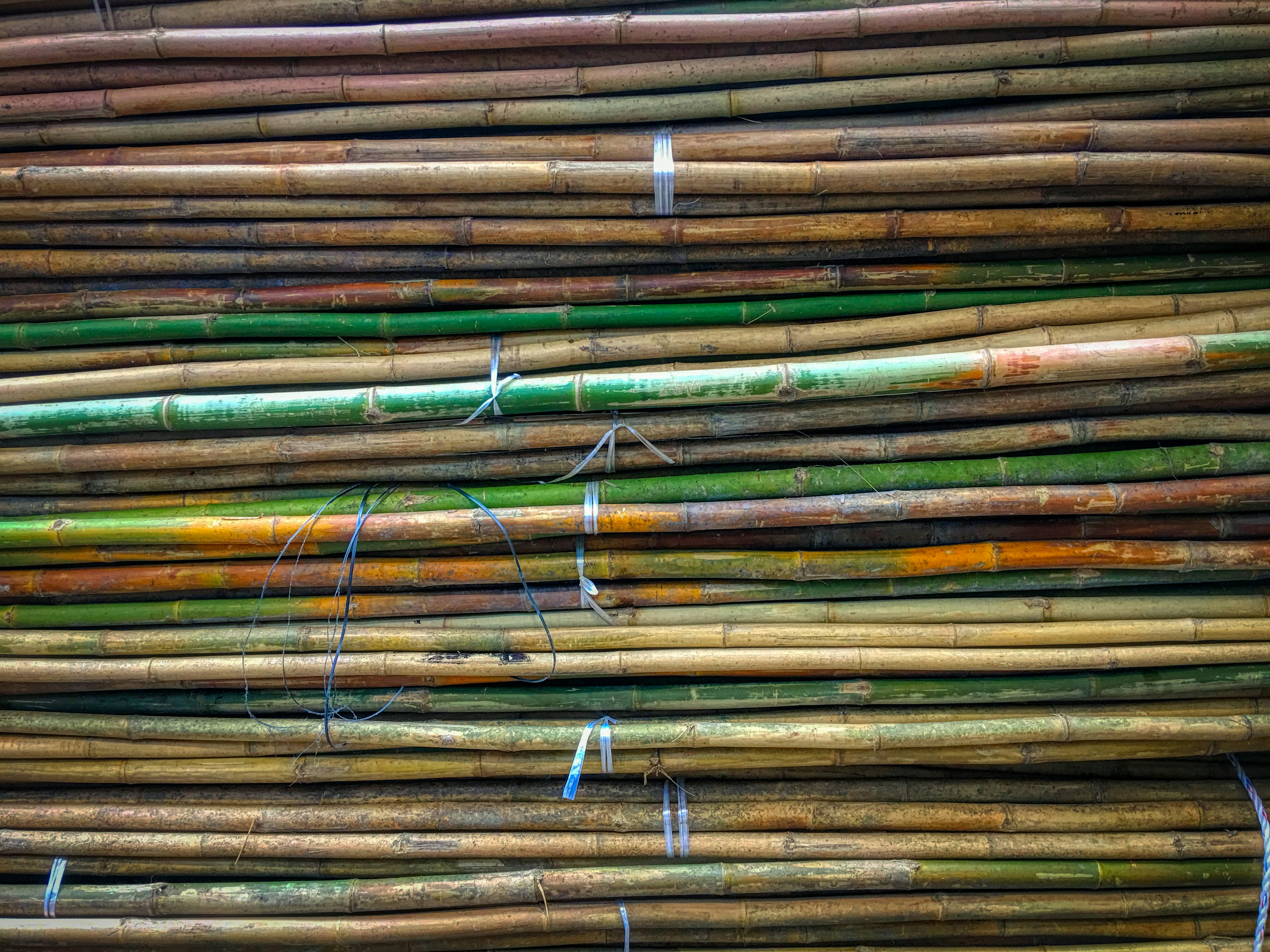 pile of green and brown bamboo sticks