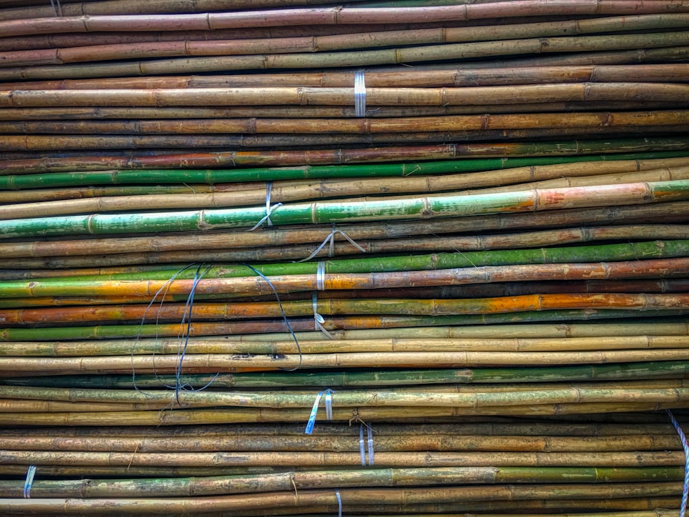 pile of green and brown bamboo sticks