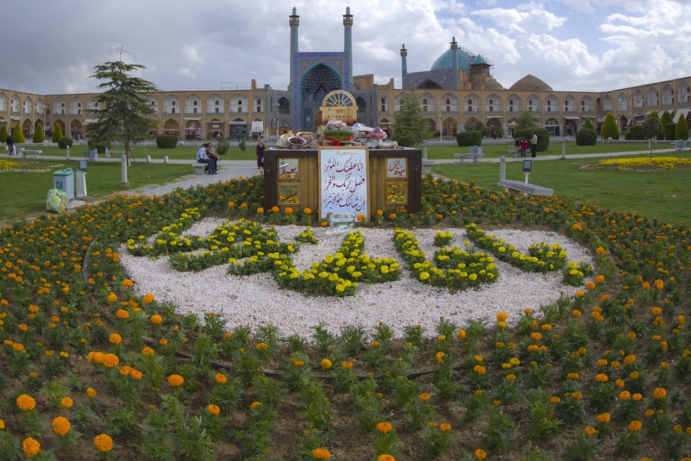 flower field in bloom during daytime