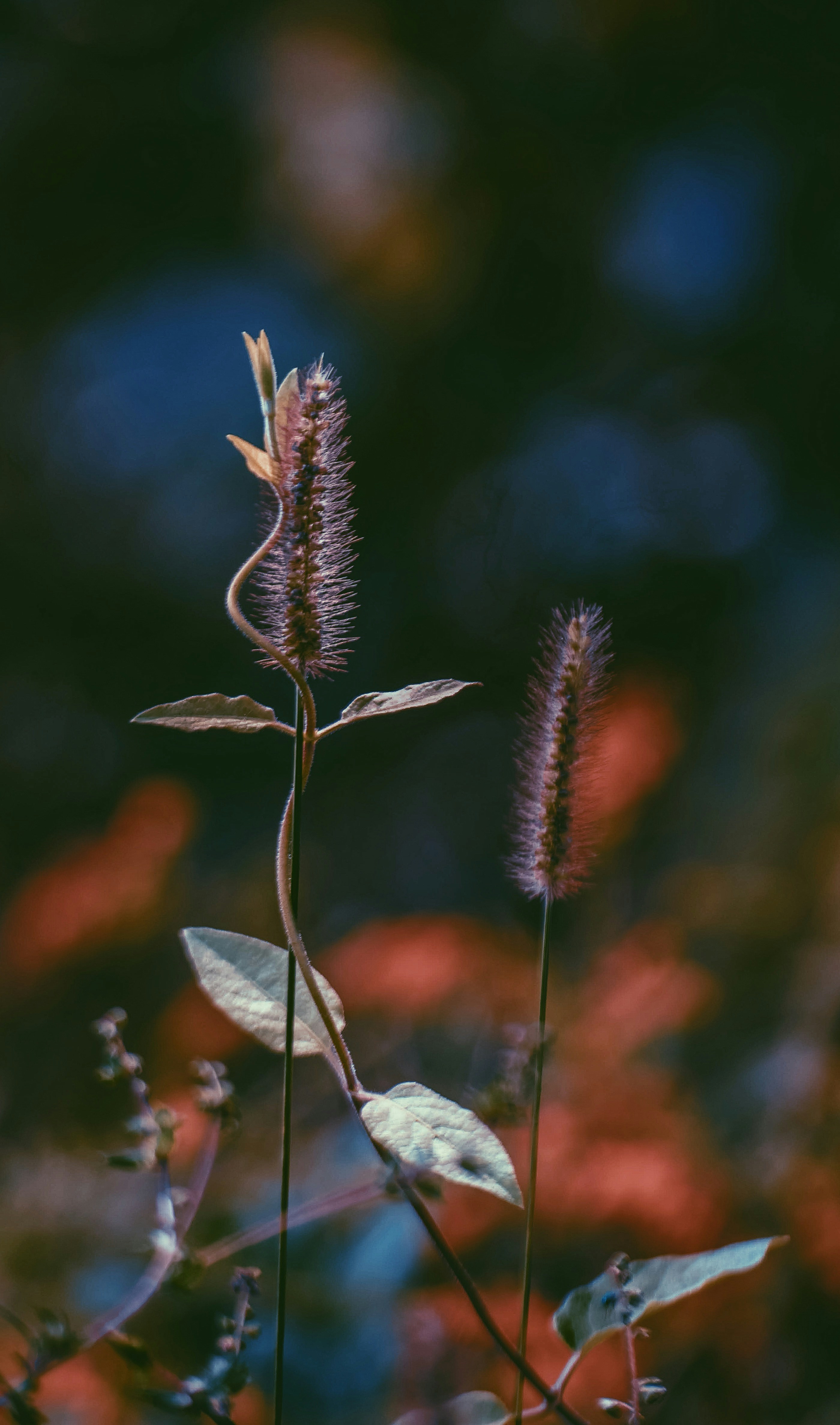 Photo by aravindpasupathi