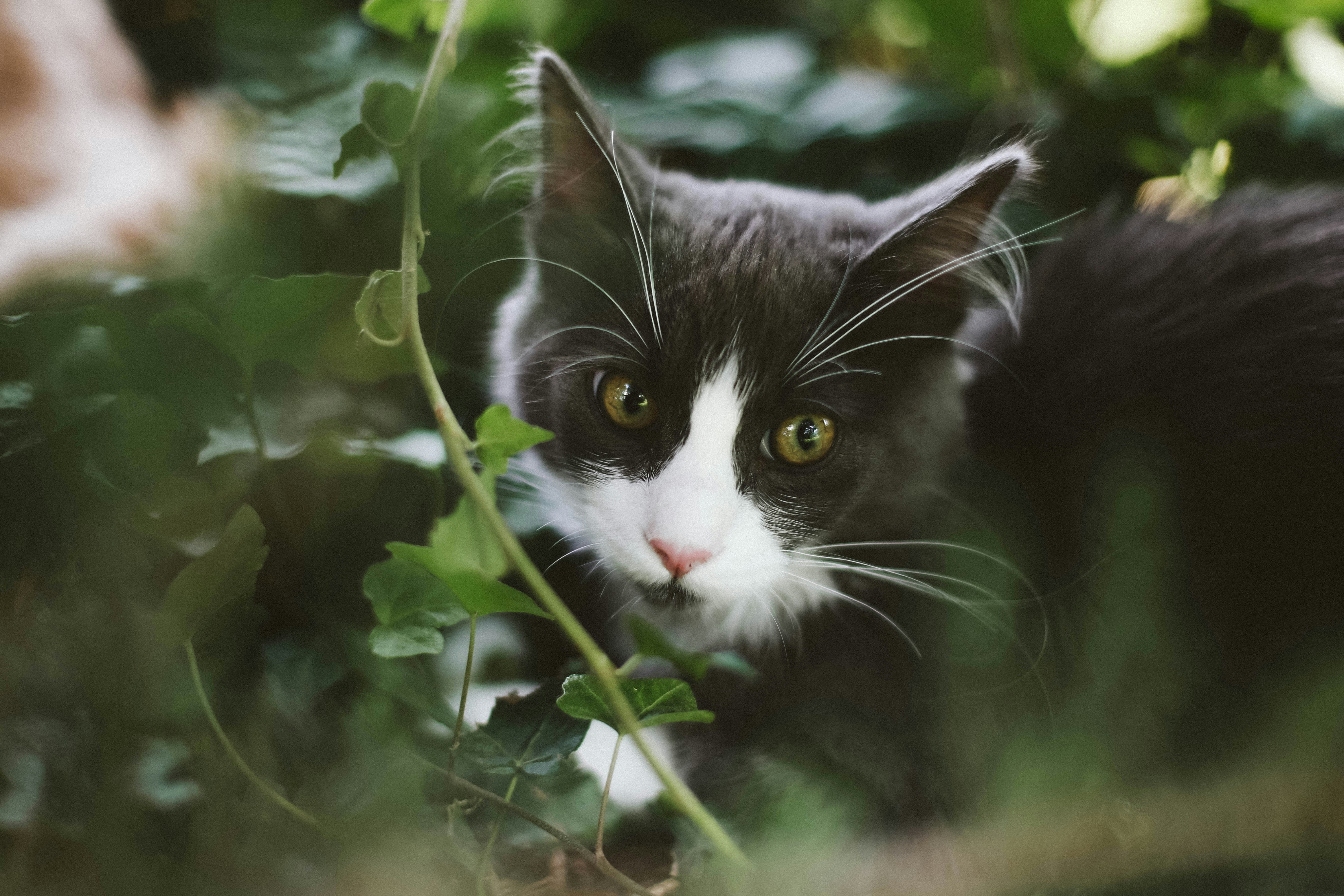 Photo by sindystrife