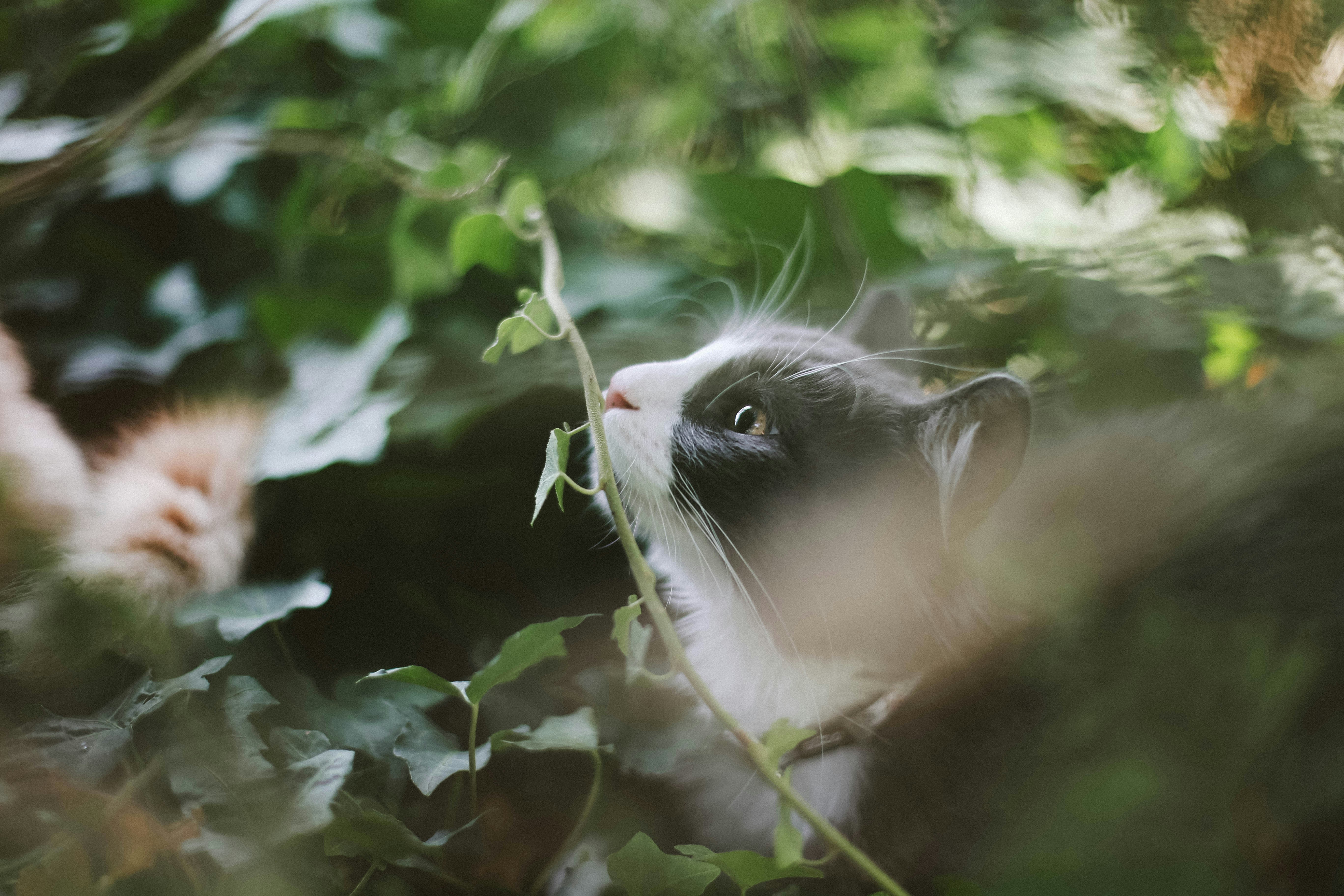 Photo by sindystrife