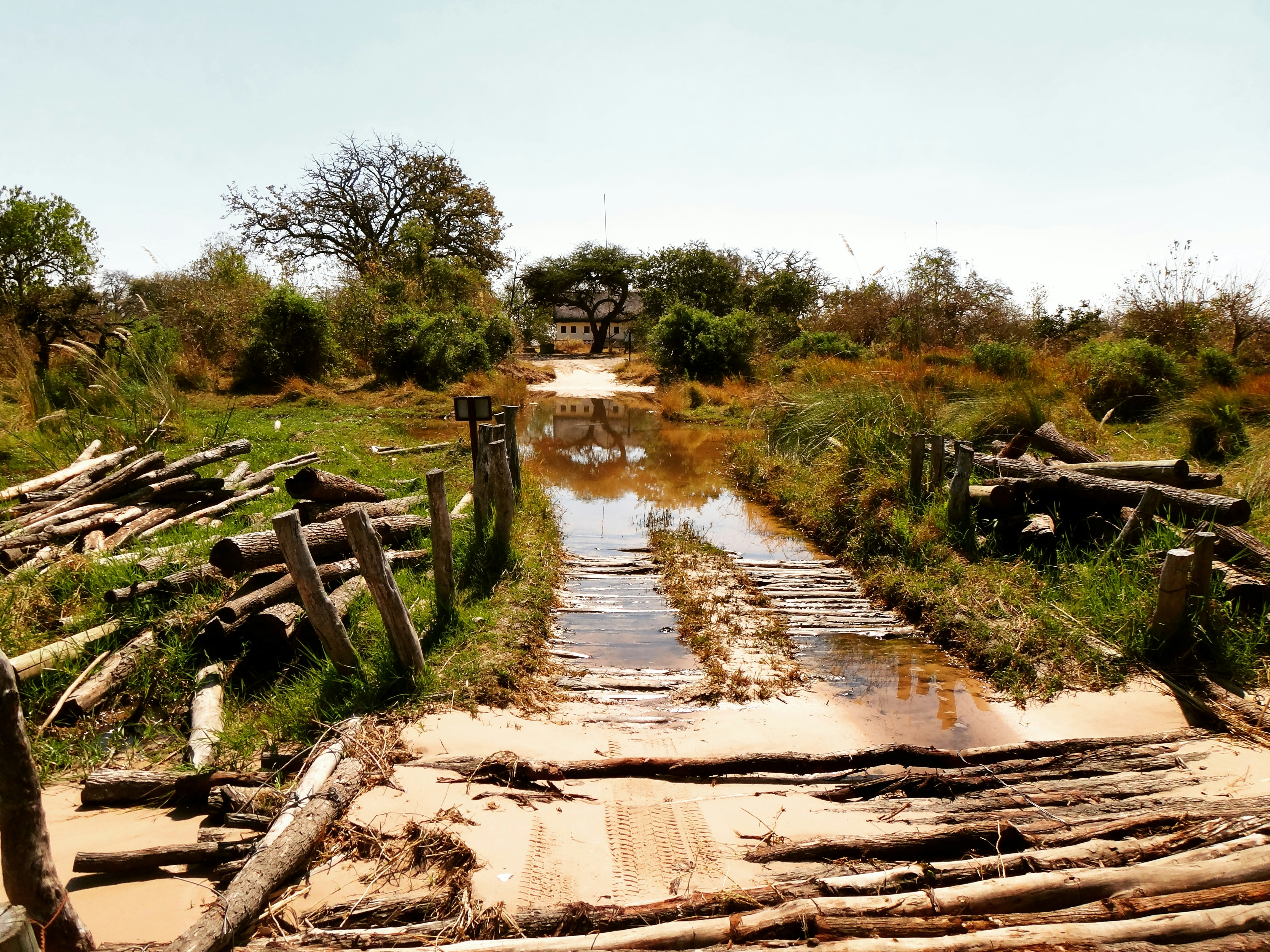 Zimbabwe steps into lithium processing as Africa’s raw