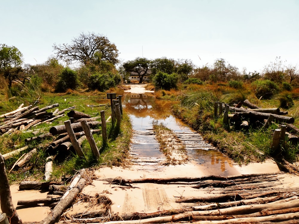 submerged wooden road