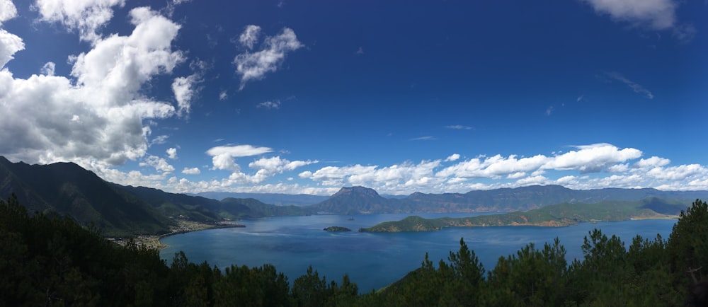 clear blue sea surrounded by trees under clear blue sky