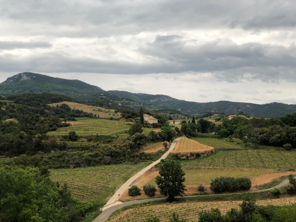 Foto aérea de un campo de hierba verde