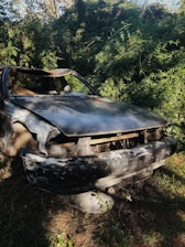 A heavily rusted and damaged car shell is abandoned and partially overgrown by thick green vegetation. The car is missing several parts, including the front grille and headlights. The surrounding plants are dense, suggesting a long-term neglect.