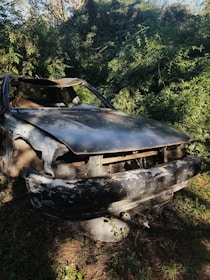A heavily rusted and damaged car shell is abandoned and partially overgrown by thick green vegetation. The car is missing several parts, including the front grille and headlights. The surrounding plants are dense, suggesting a long-term neglect.