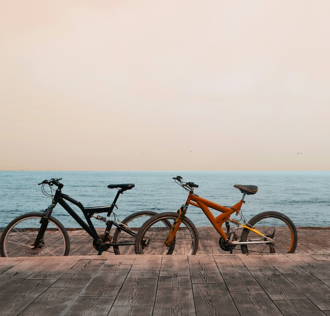 two full suspension bikes at the pier