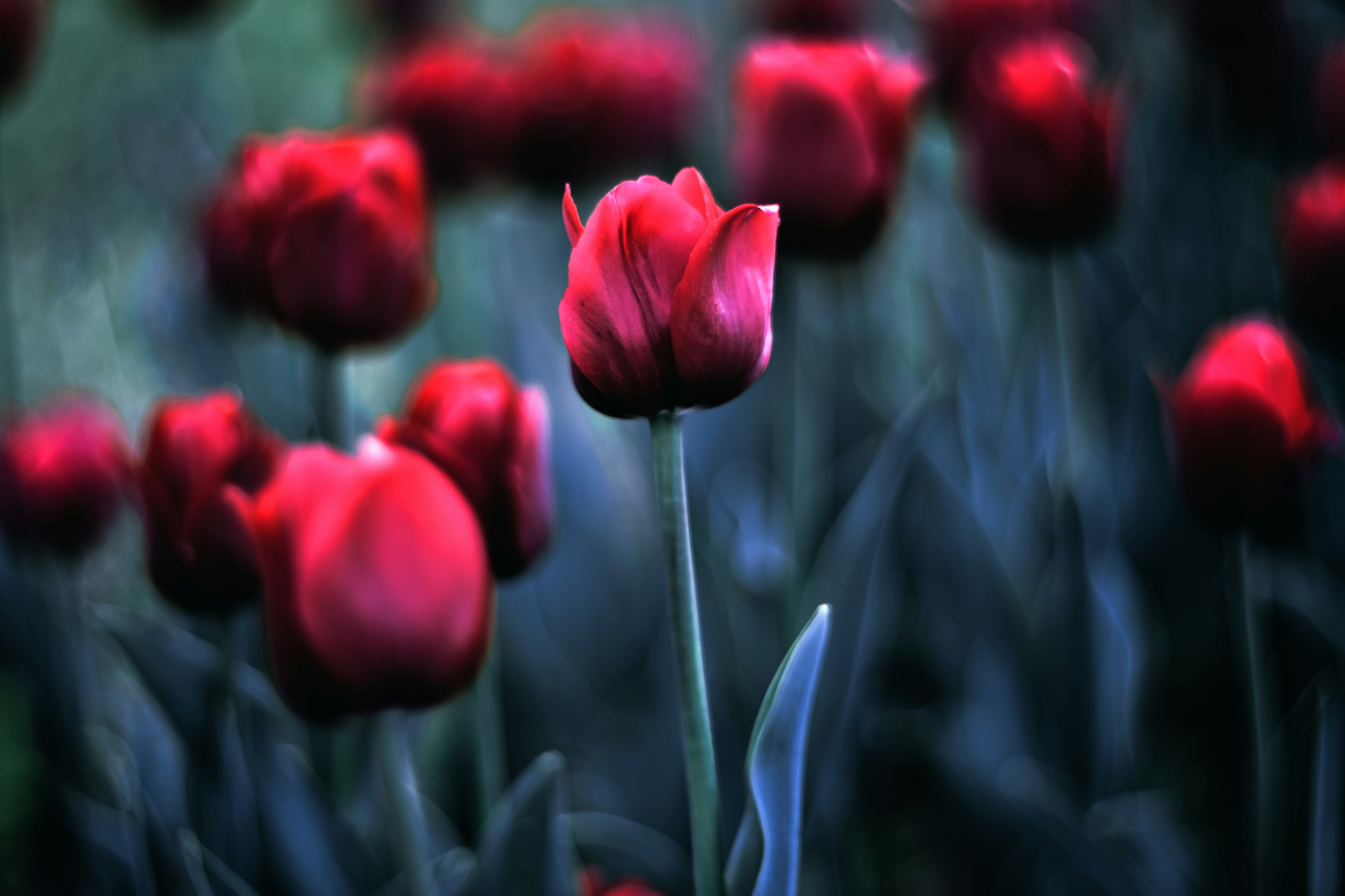 Photo by photonomikon