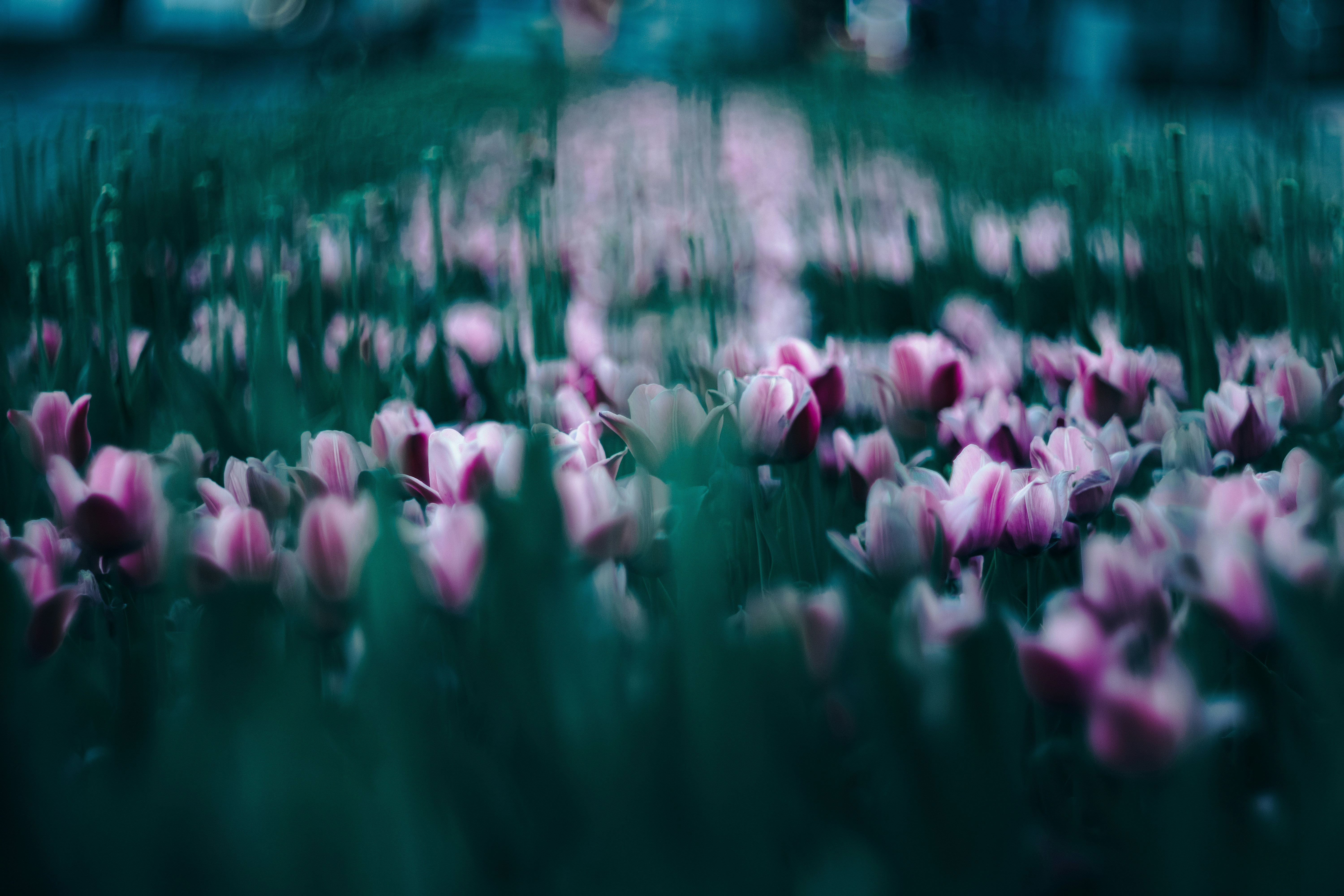 Photo by photonomikon