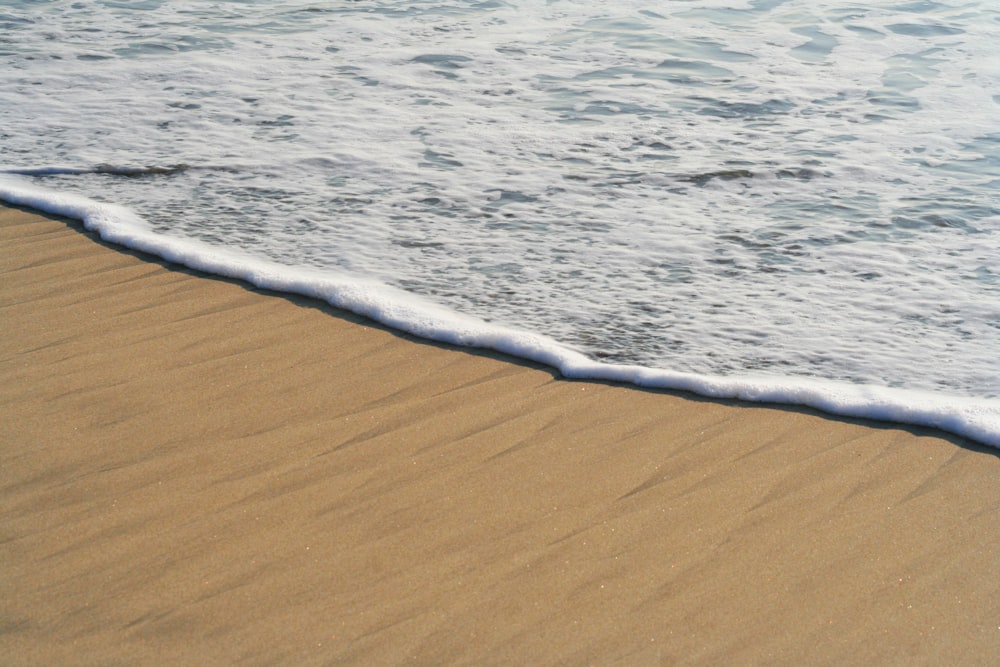 sea shore photo during daytime