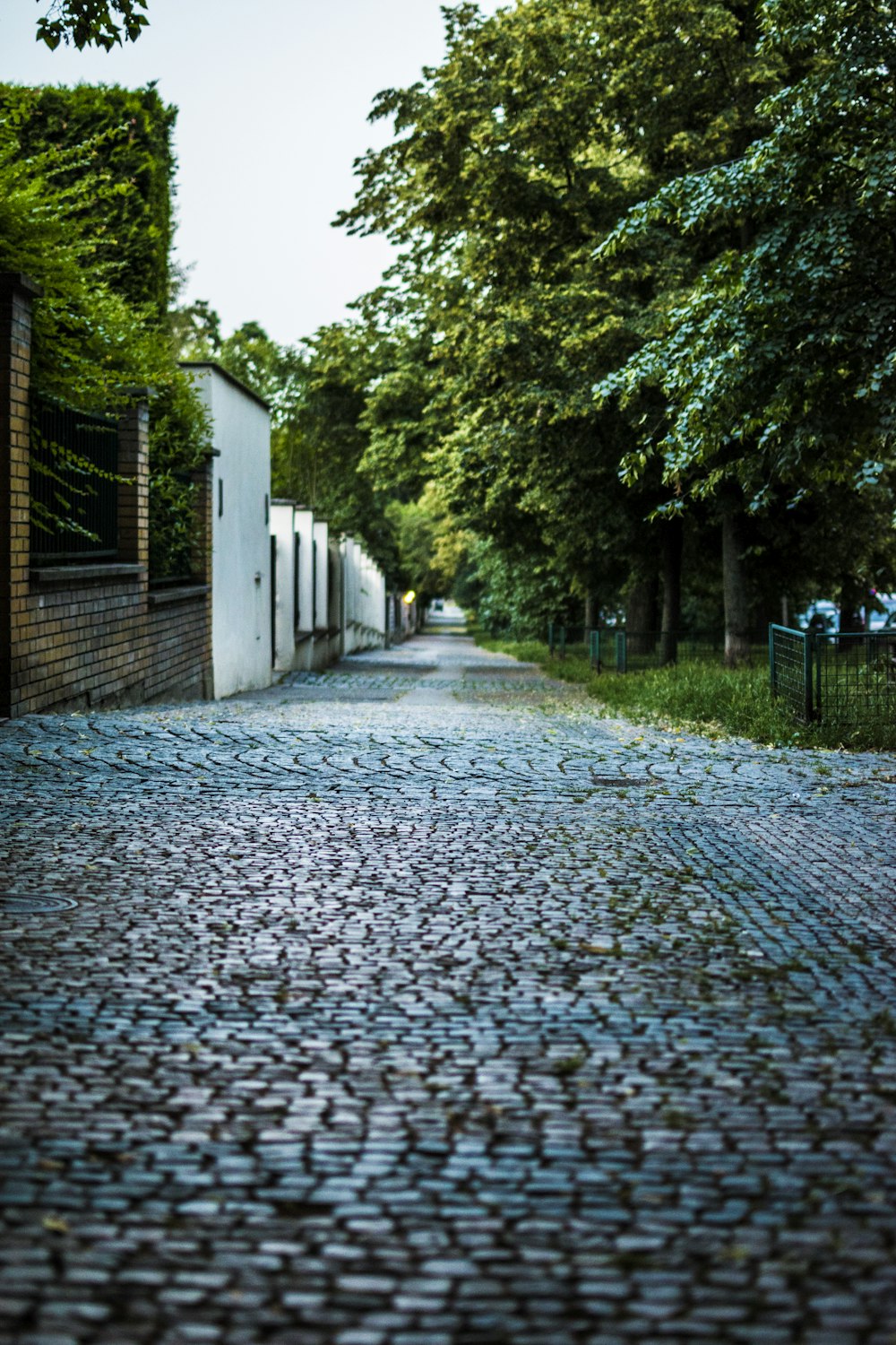 brown stone floor across green trees