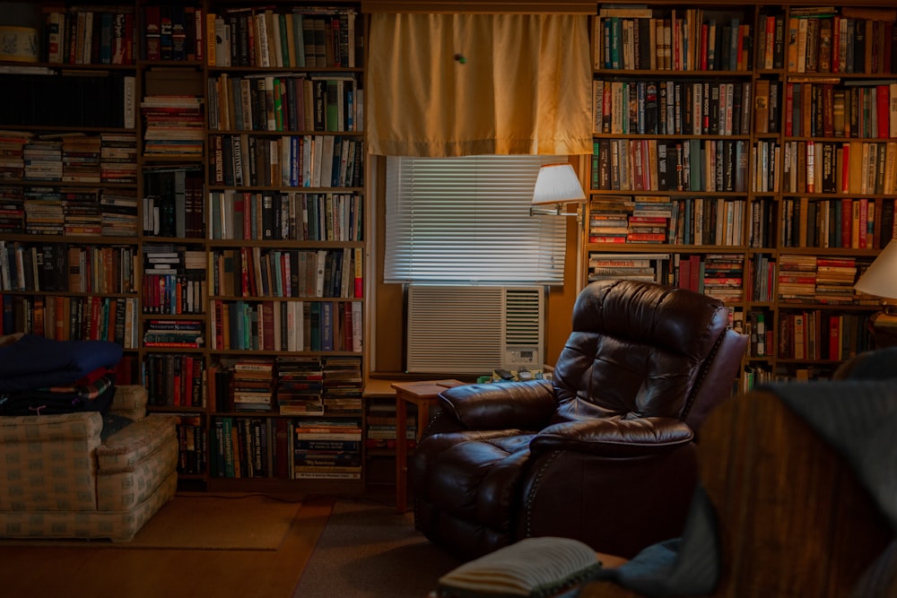 brown recliner sofa chair among books