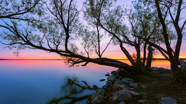 Custom soft enamel pin with dazzling glitter powder fill