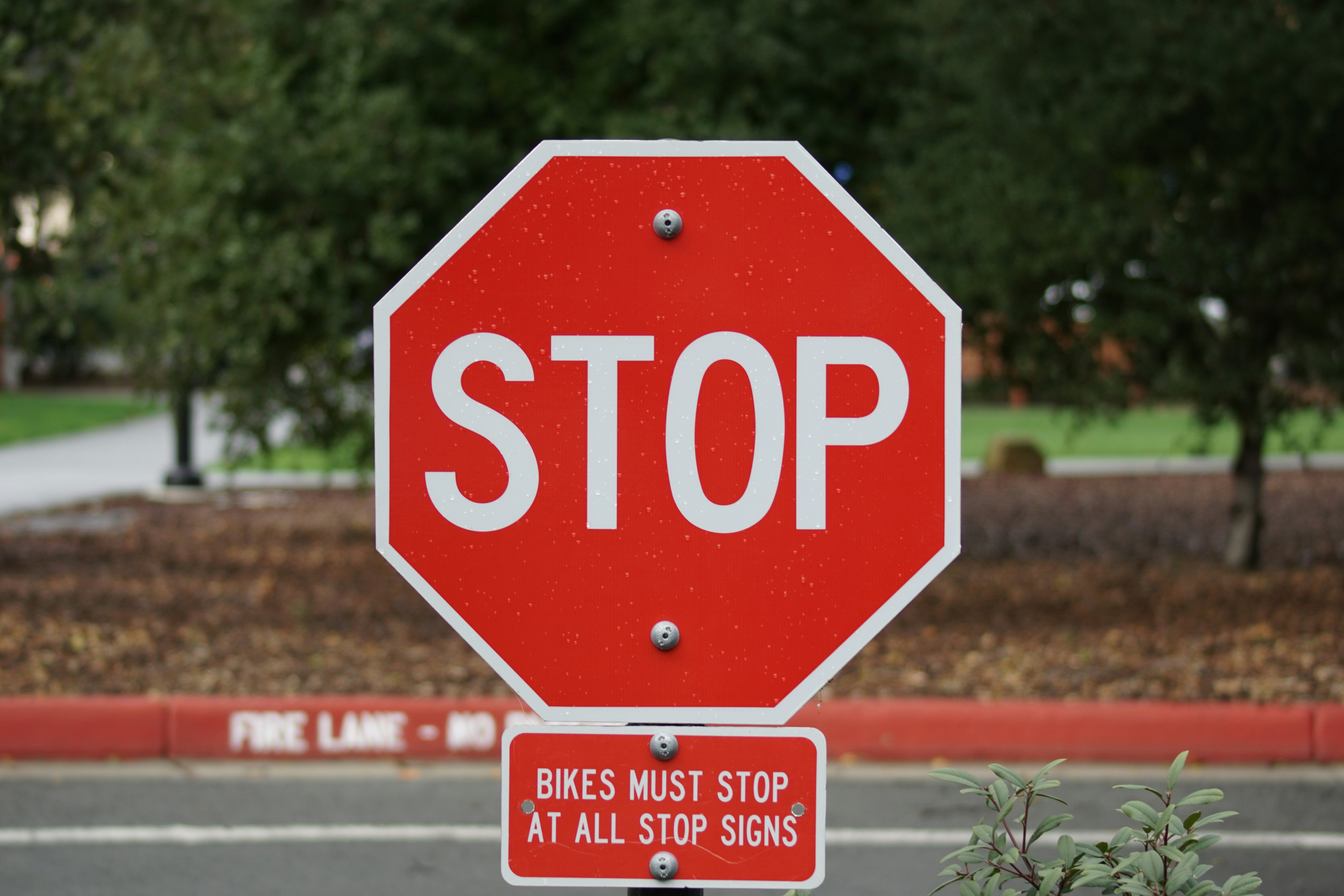 Utilizing Local Alignment in STOP sign Detection