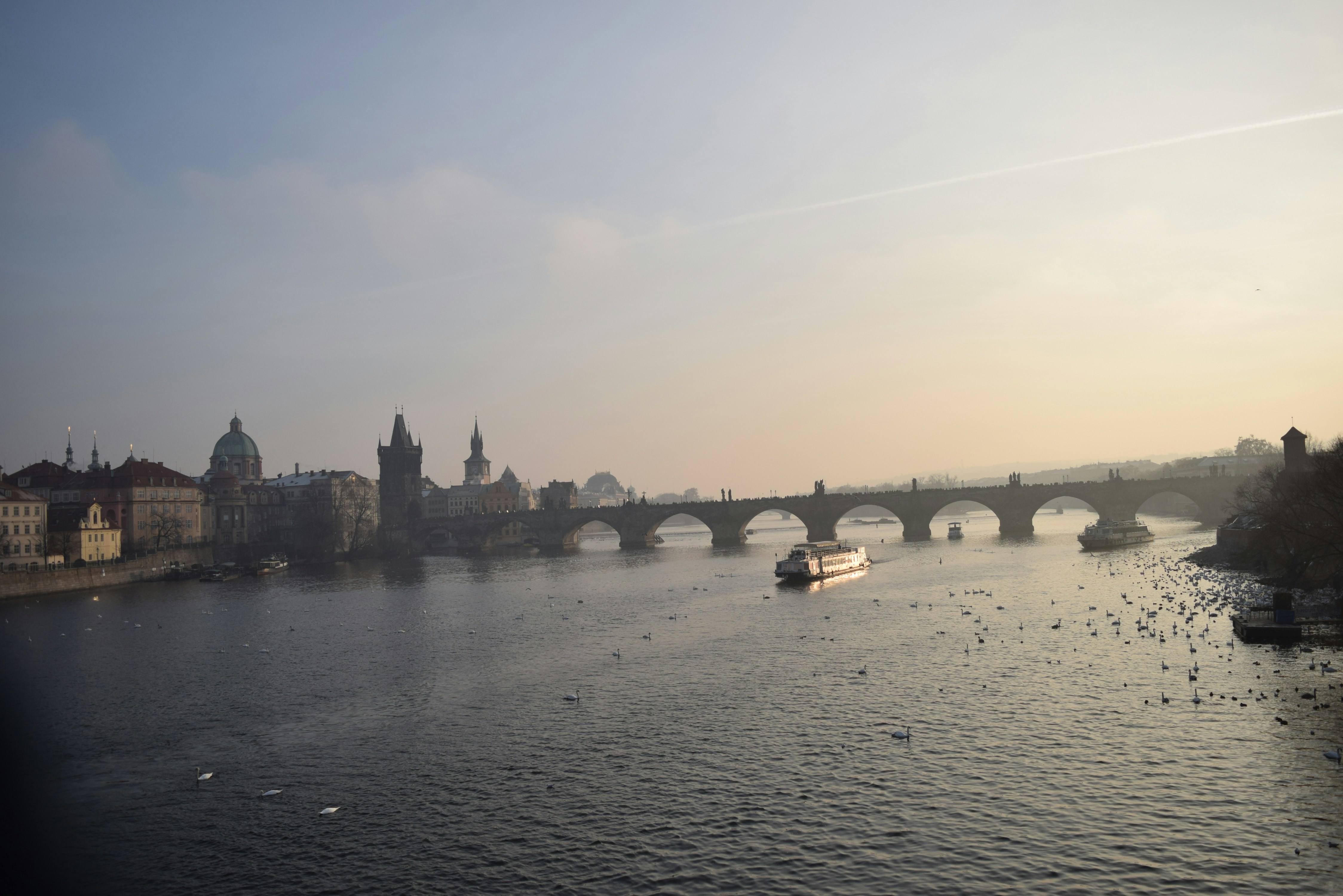 Photo by lizaaabarrett