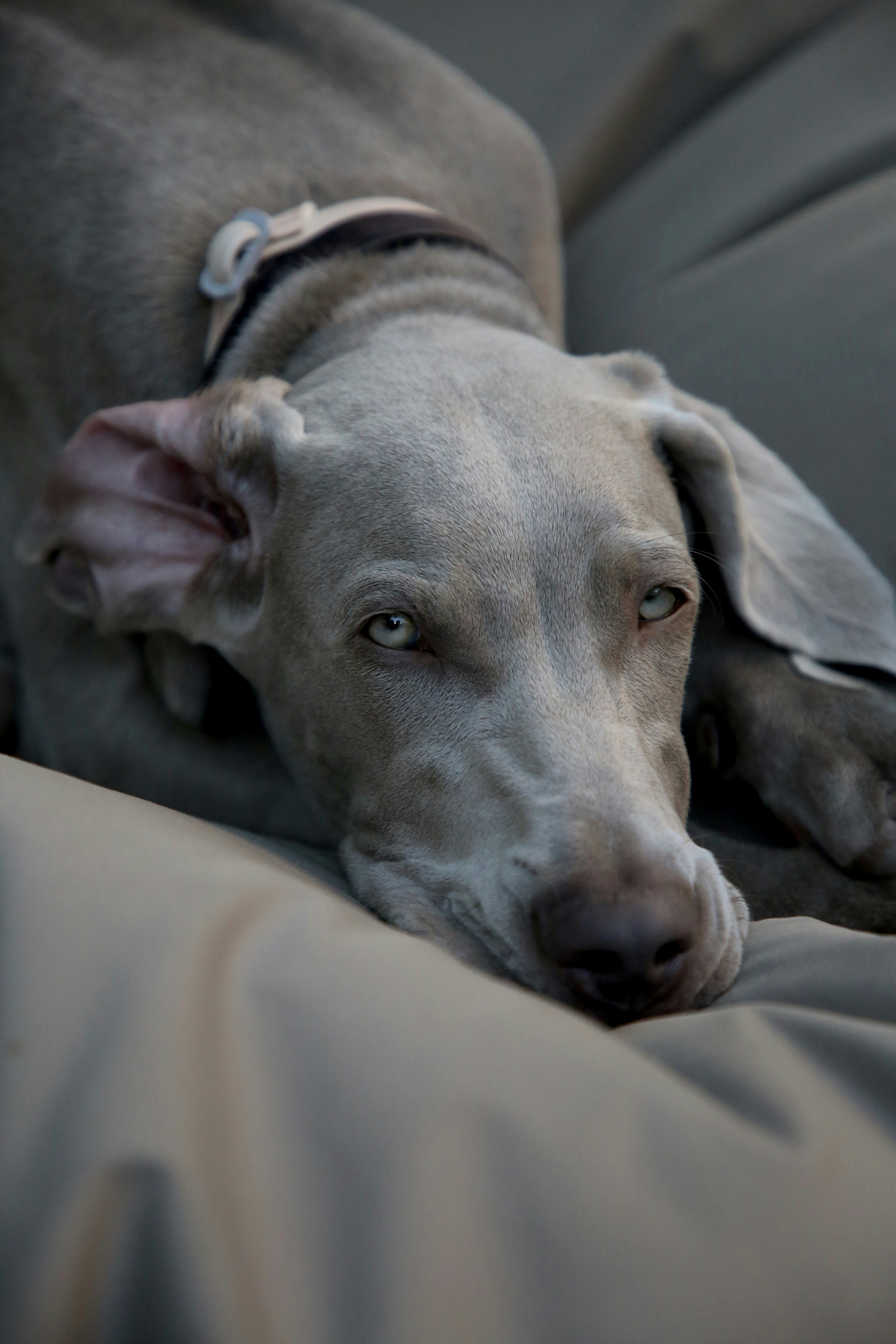 Photo by nathalie_spehner