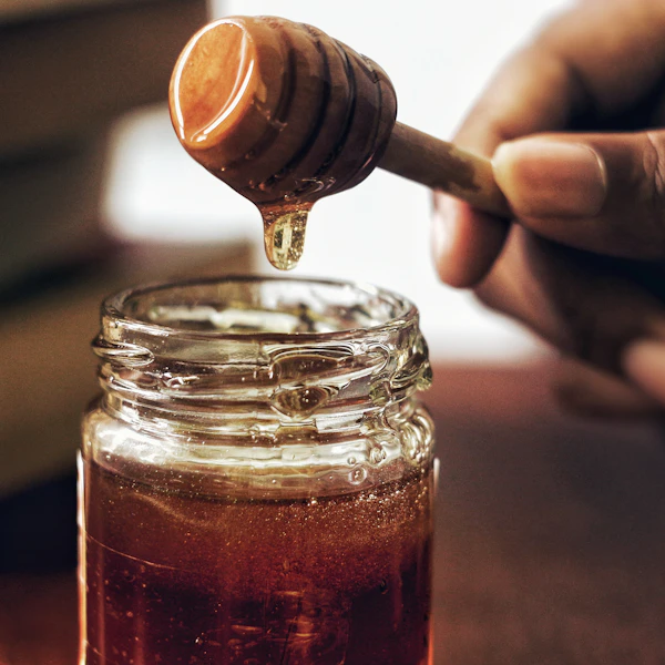 Karakoram Harvest Wild Karakoram Sidr Berry Honey 1kg