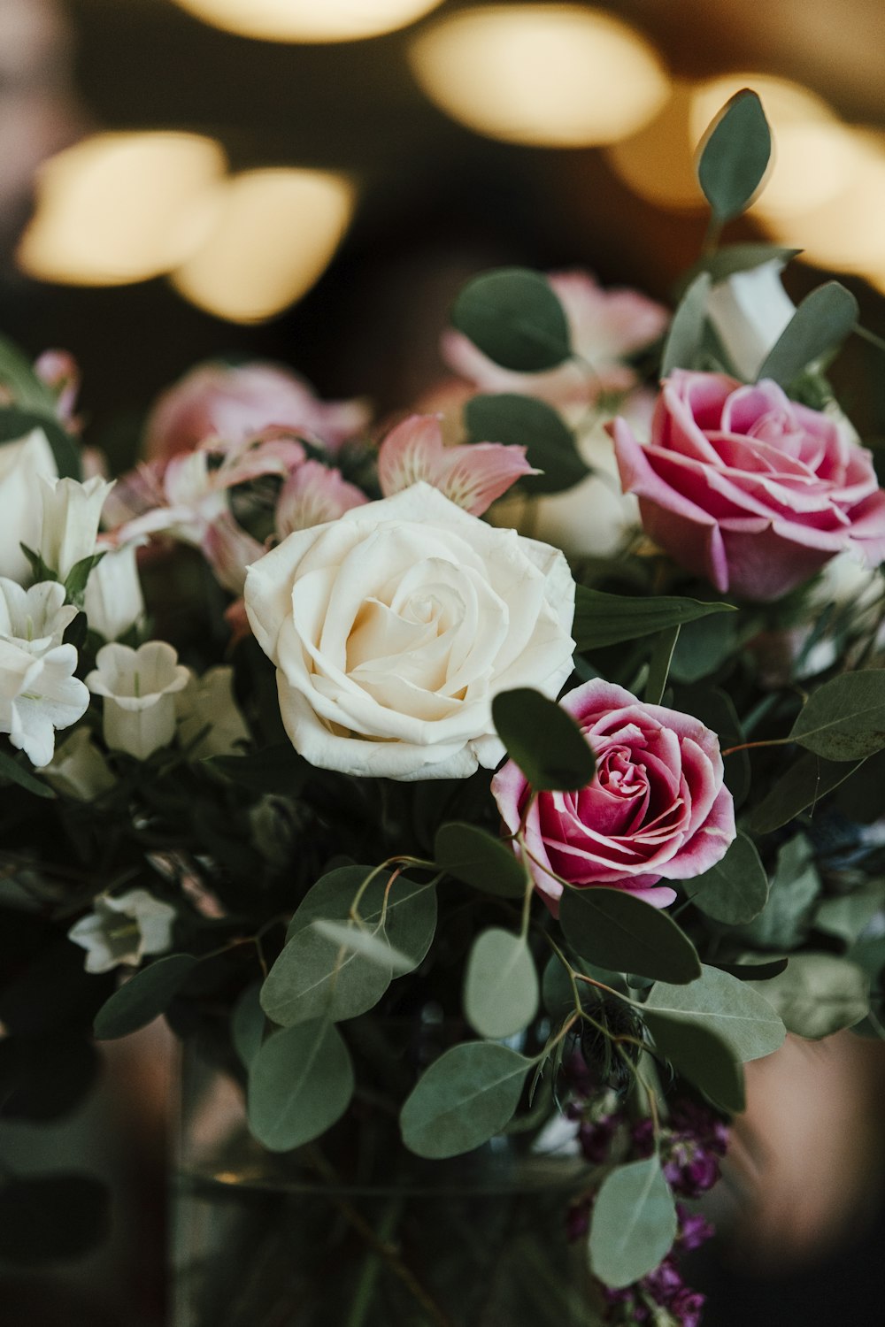 white and pink petaled flowers