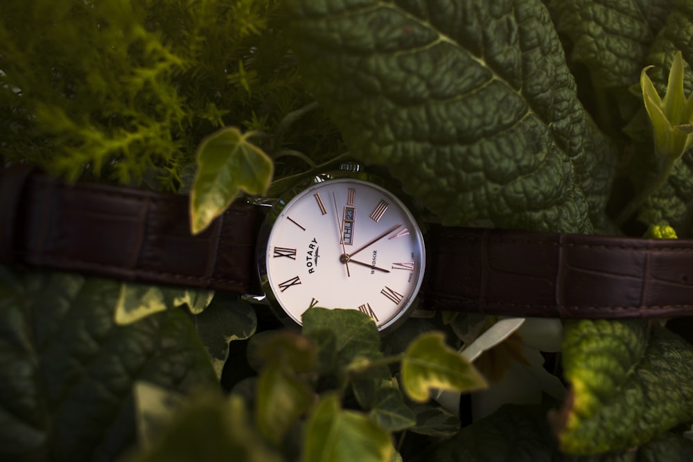 round silver-colored and white analog watch with brown leather strap near green leaves