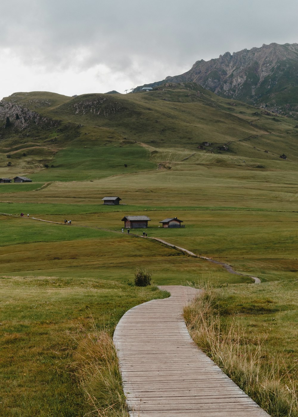 Route près d’un champ d’herbe verte pendant la journée