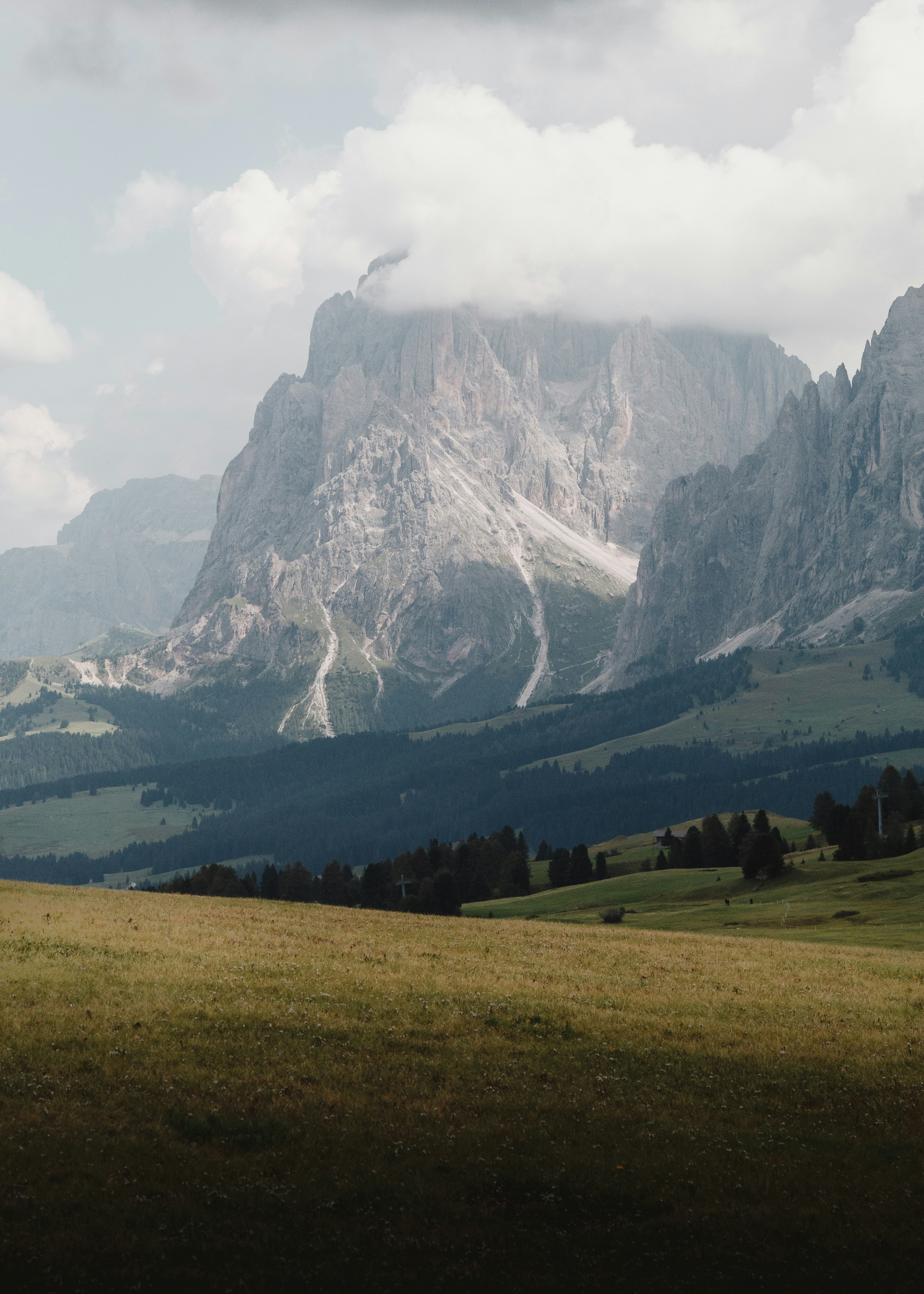 green grassland across mountain photo