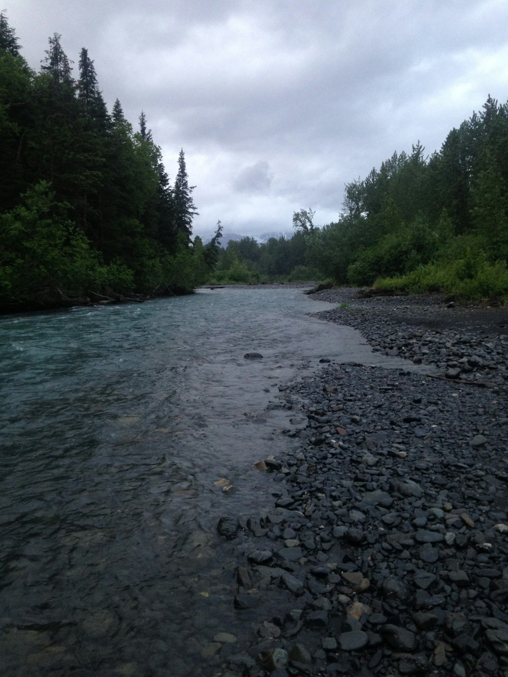 river near trees