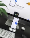 Web design trends
