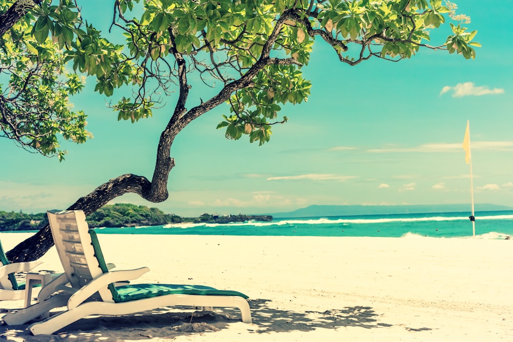 empty sunlounger at the beach