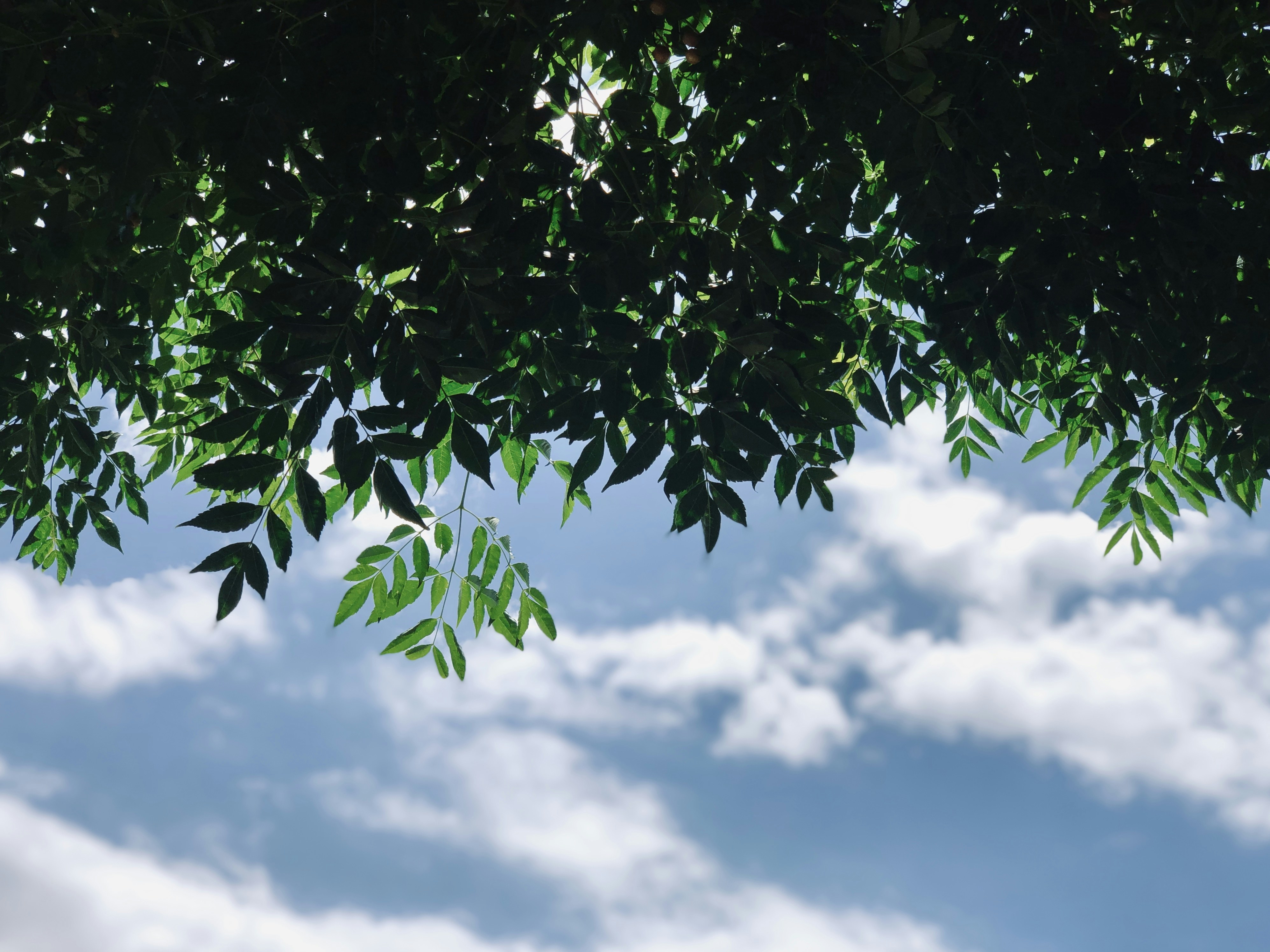 Photo by beyond_the_dream