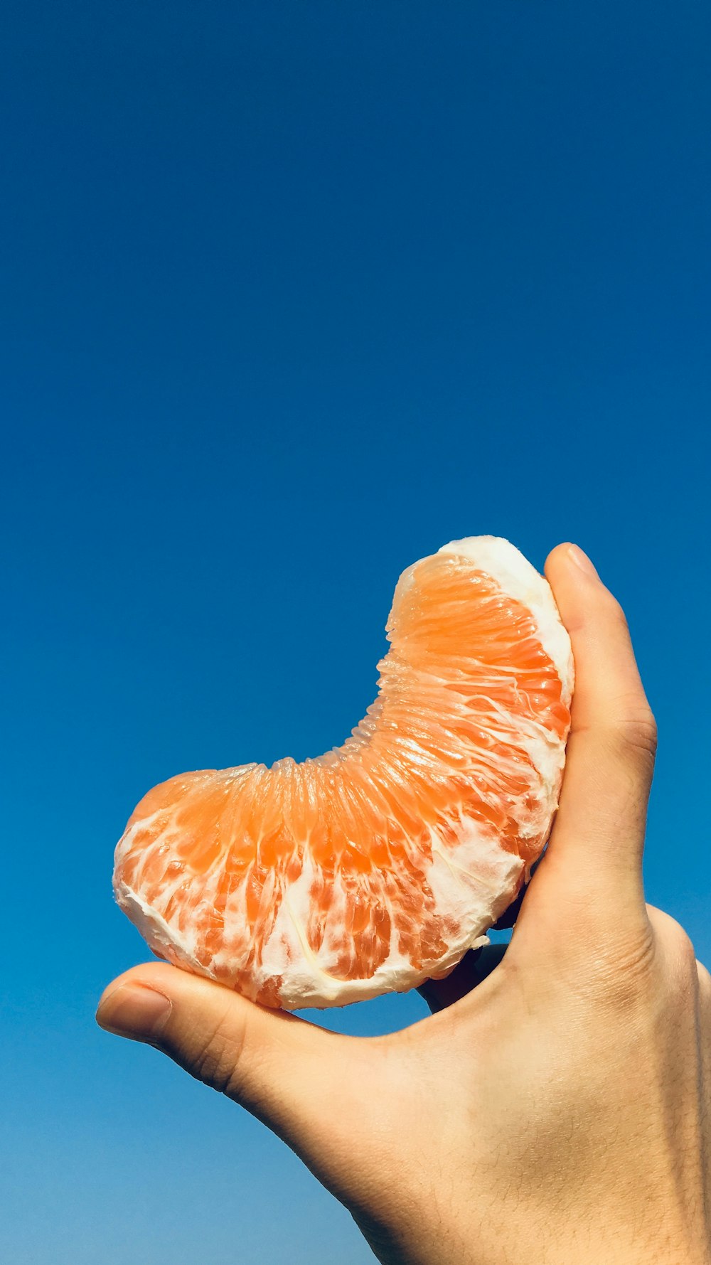 orange citrus fruit