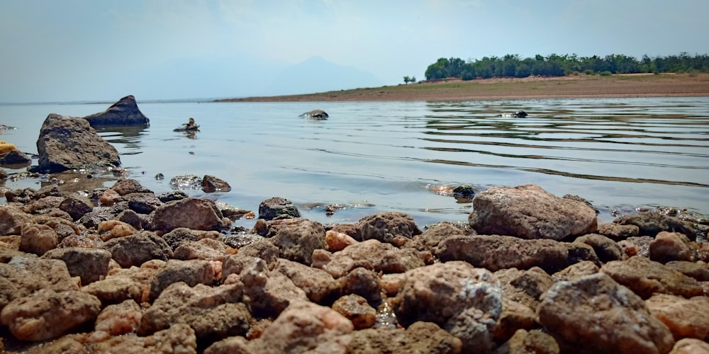 brown stones beside body of water